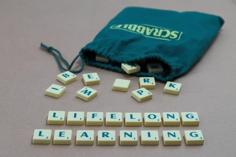 Lifelong Learning
